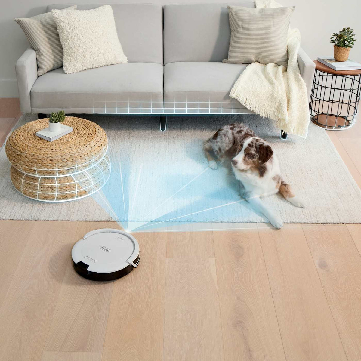 2025 Shark® Navigator® Robot Vacuum + Self-Empty Base
