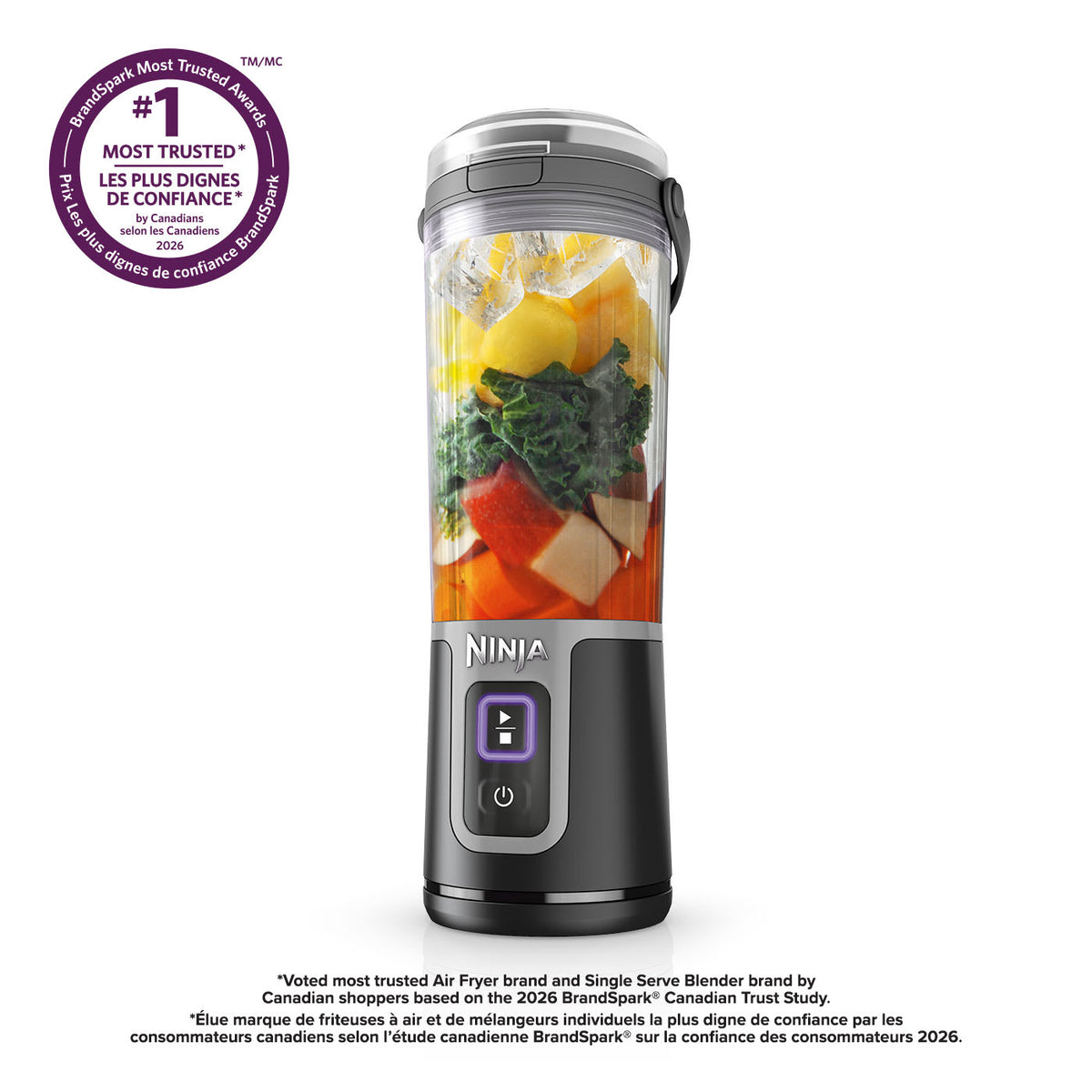 Ninja Blast™ 16 oz. Portable Blender with Leak Proof Lid and Easy Sip Spout, Black