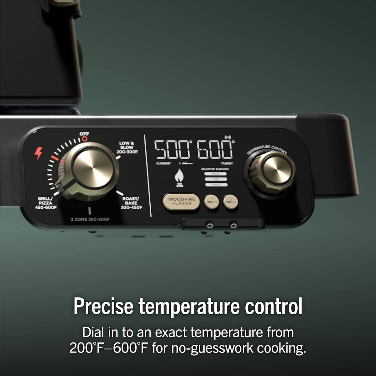 Ninja™ FlexFlame™ Grill and Smoker with ProConnect™