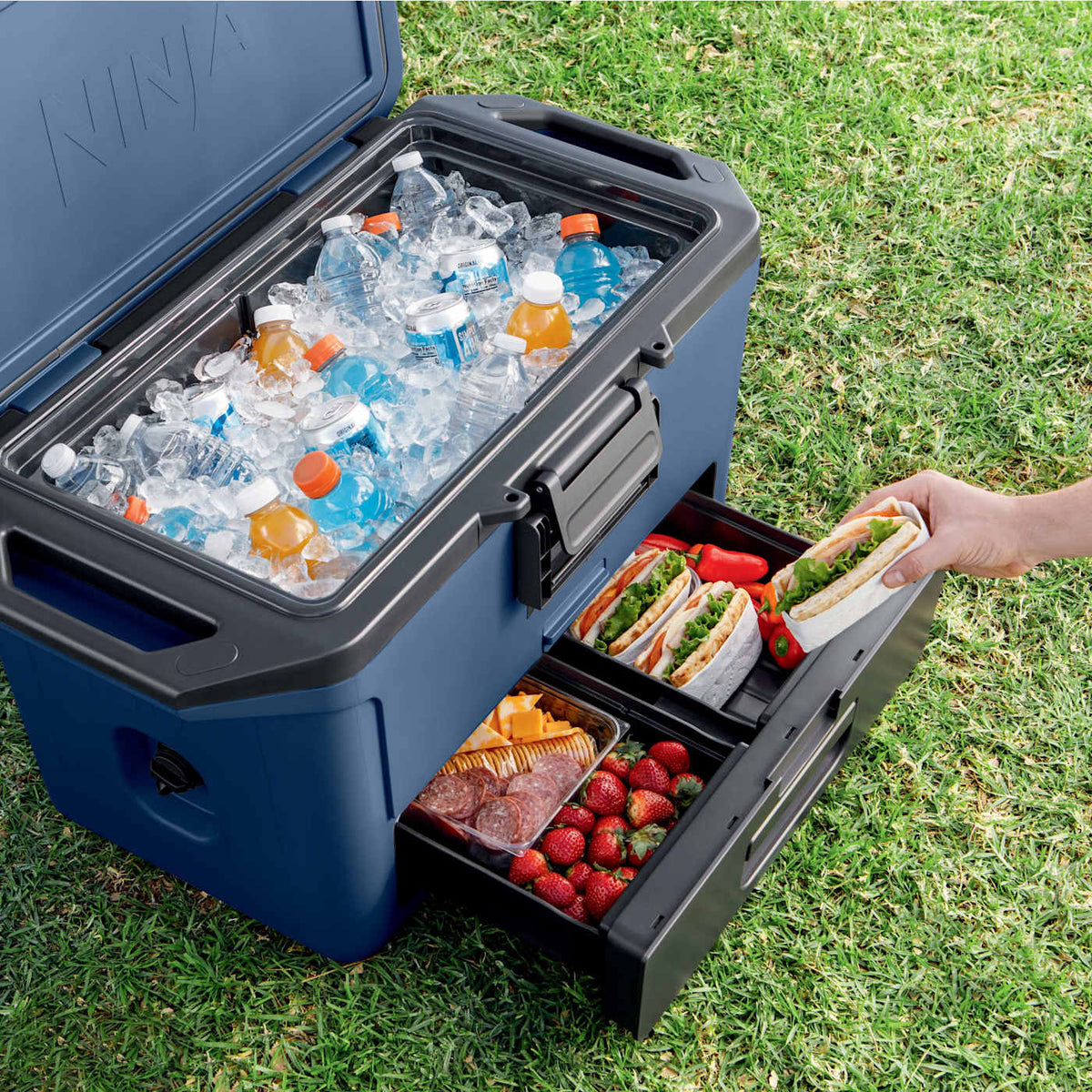 Ninja FrostVault™ 50qt Hard Cooler with Dry Zone, Lakeshore Blue