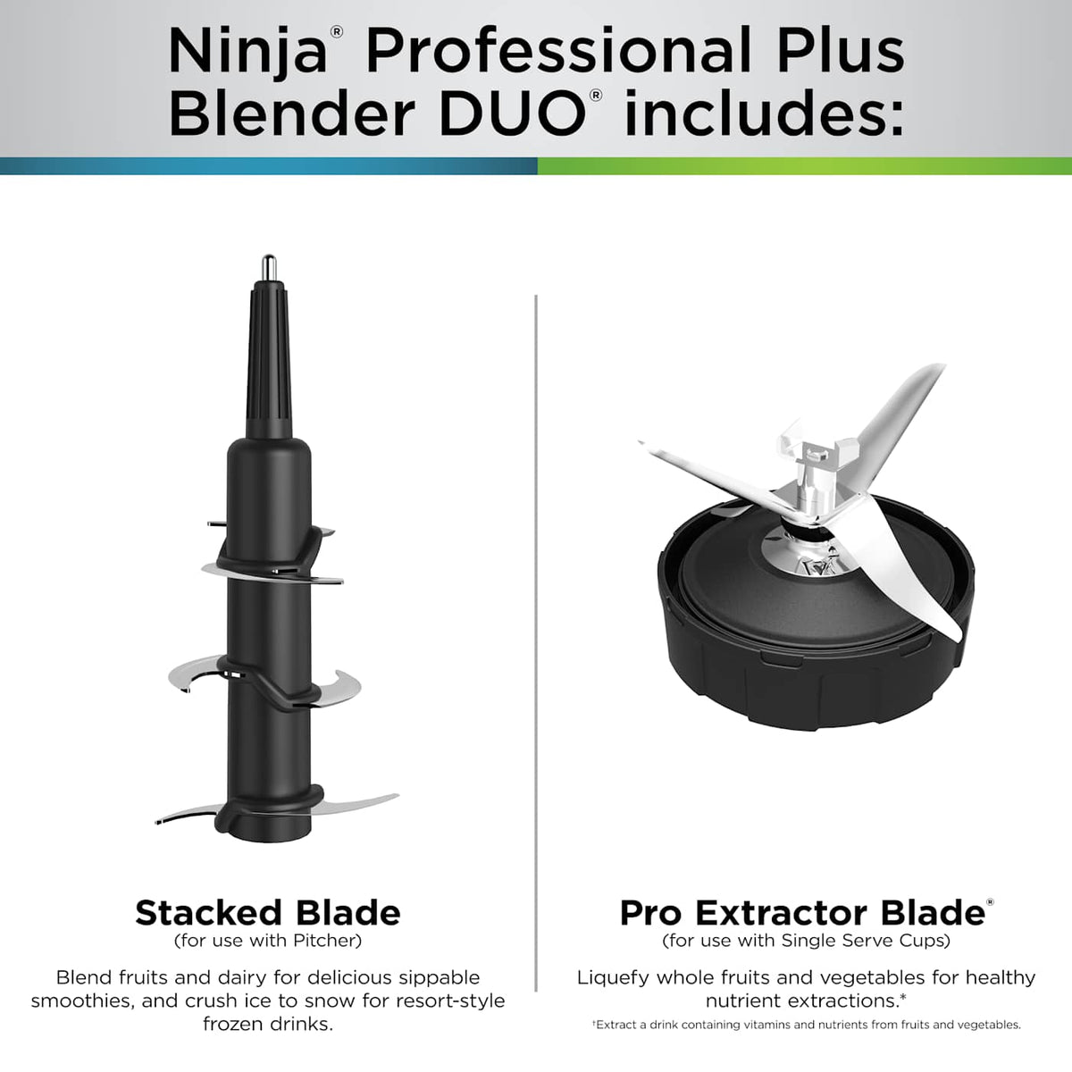 Ninja® Professional Plus & Personal Blender DUO® with Auto-iQ® & Nutri Ninja® Cups