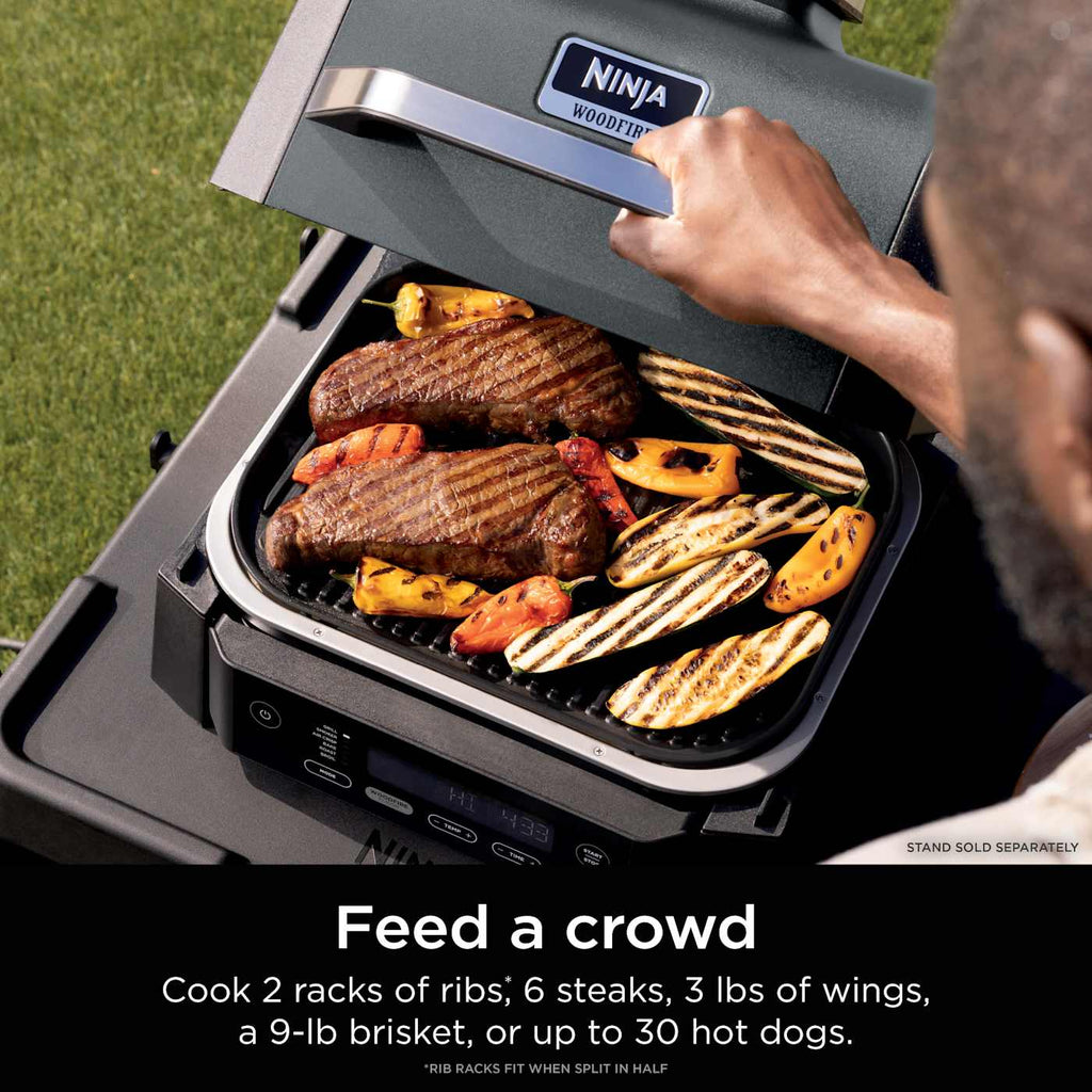 Ninja Woodfire® Outdoor Grill & Smoker, 6-in-1 Functionality