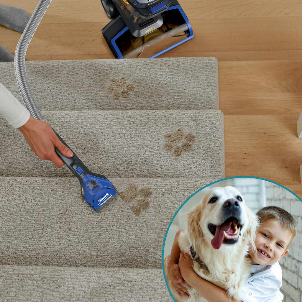 Shark® CarpetXpert™ HairPro® with Spot and Stain Remover