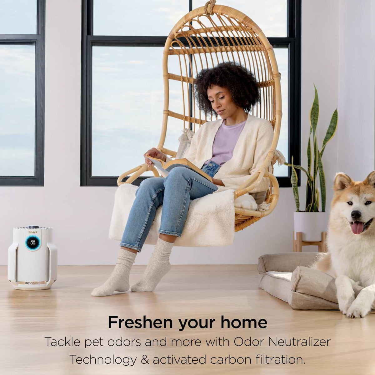 Shark NeverChange™ Air Purifier Compact Pro (Dove)