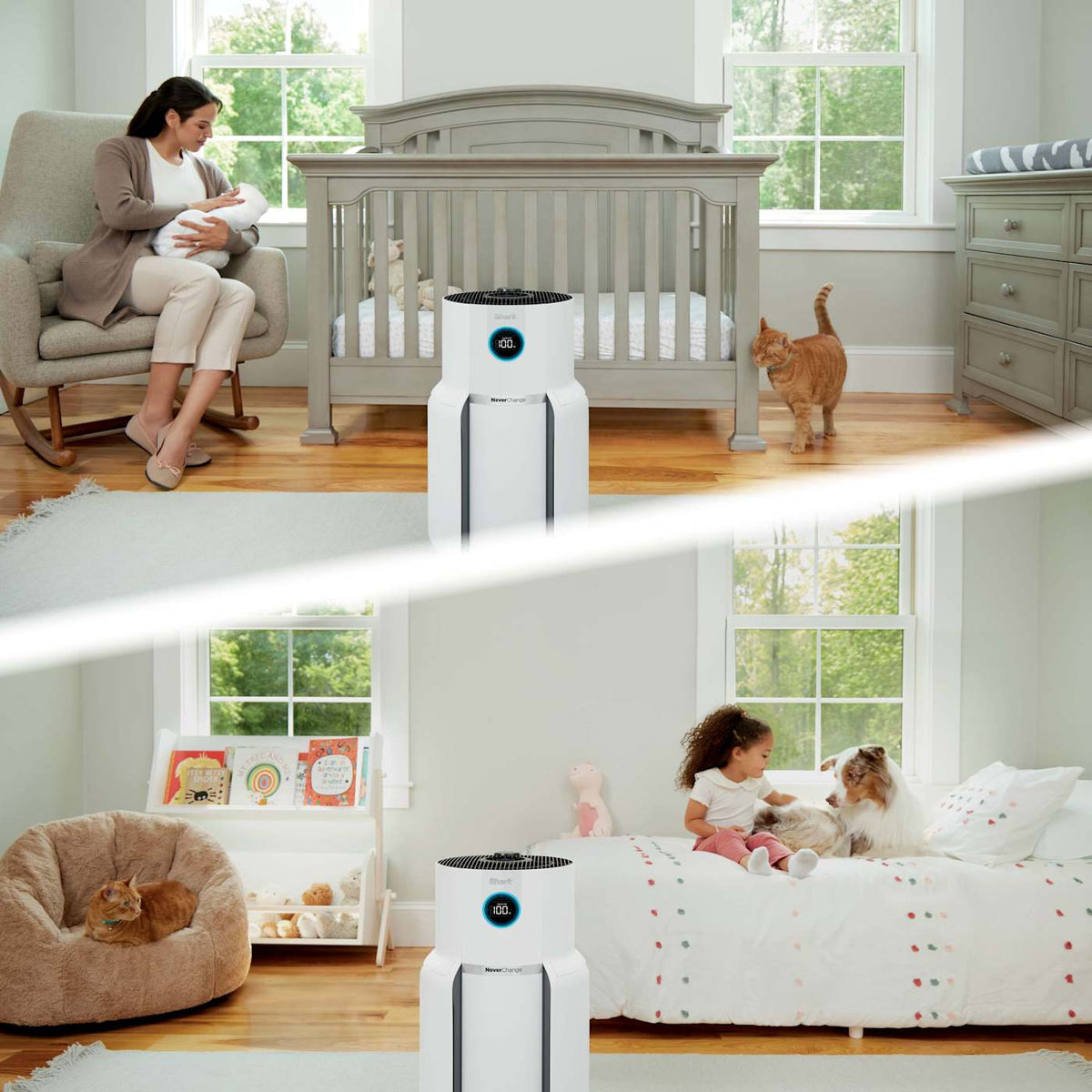 Shark NeverChange™ Air Purifier MAX and NeverChange™ Air Purifier Compact Pro Bundle