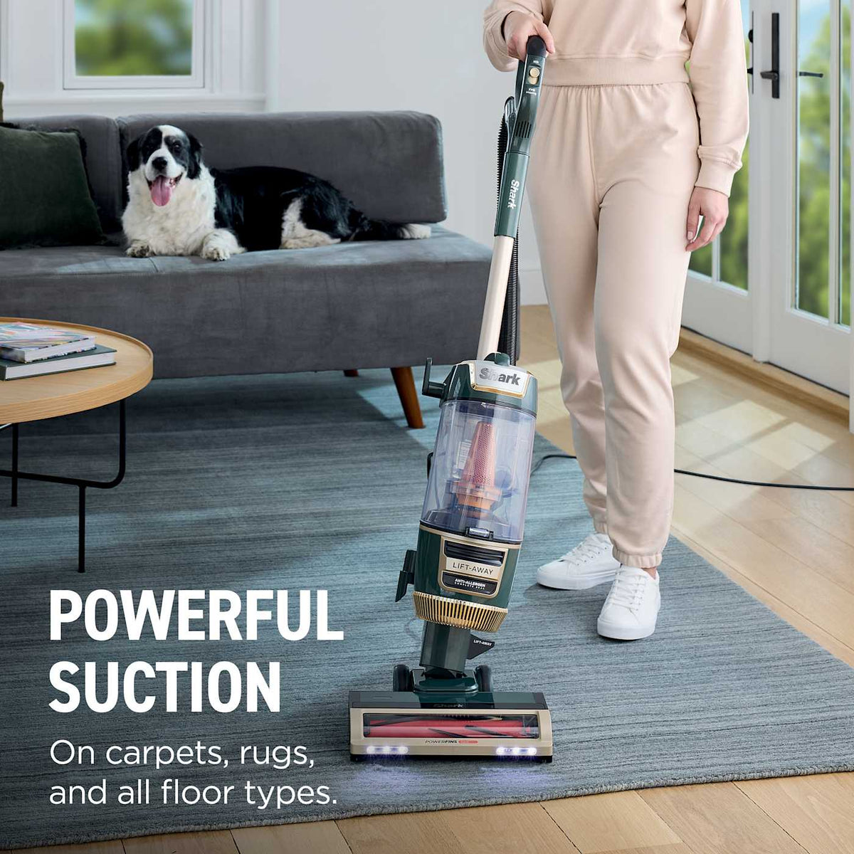 Shark® Rotator® Lift-Away® ADV Upright Vacuum