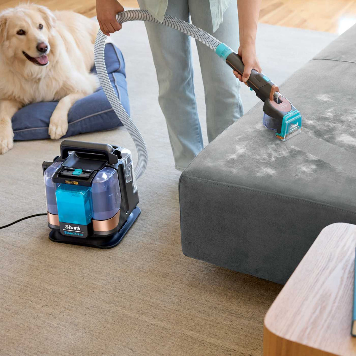 Shark® StainStriker™ HairPro Pet Portable Deep Cleaner