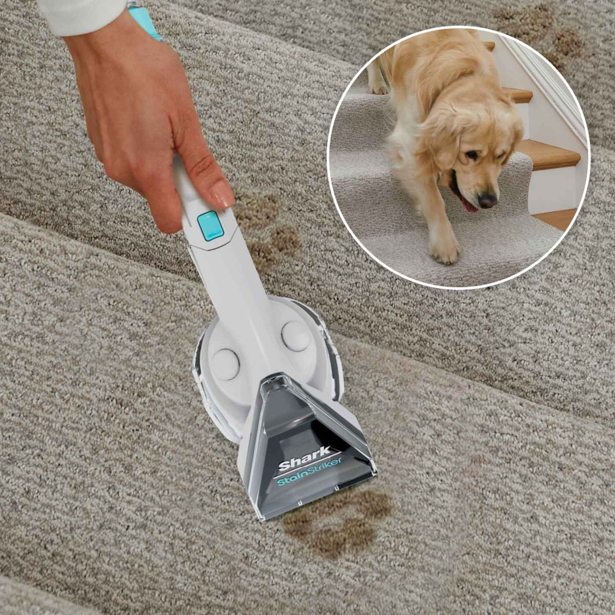Shark StainStriker Portable Carpet and Upholstery Cleaner